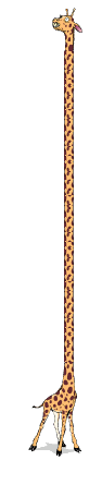 Tall Giraffe